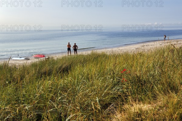 Two surfers waiting for waves, surfboards on the beach, no wind in the morning, coastline, summer in Ystad, Baltic Sea, Sweden