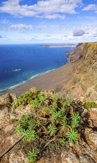 View from the Castillejo viewpoint from the Risco de Famara cliffs to the coast and the sea with the Famara beach, Playa de Famara, Lanzarote, Canary Islands, Spain