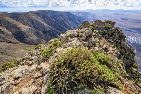 Castillejo viewpoint, view from the Risco de Famara Cliff, Lanzarote, Canary Islands, Spain