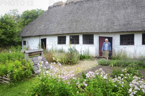 Half timbered house with thatched roof by older kitchen garden in Den gamle by, The old village, open air museum in Odense, Fyn island, Fuen, Denmark, Scandinavia
