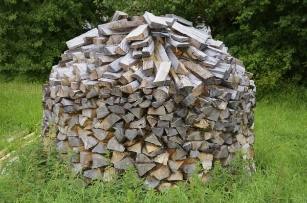 Stack of firewood in Den gamle by, The old village, open air museum in Odense, Fyn island, Fuen, Denmark, Scandinavia