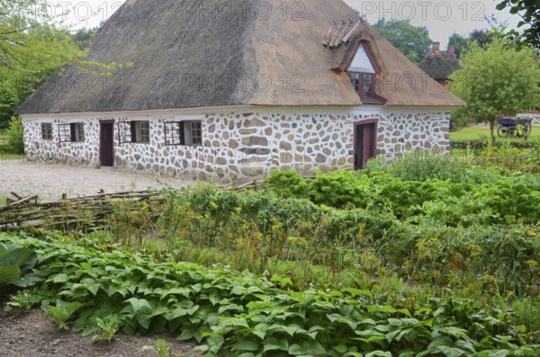 Stone house with thatched roof by older kitchen garden in Den gamle by, The old village, open air museum in Odense, Fyn island, Fuen, Denmark, Scandinavia