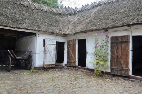 Old farmhouse with thatched roof and stone paving in Den gamle by, The old village, open air museum in Odense, Fyn island, Fuen, Denmark, Scandinavia