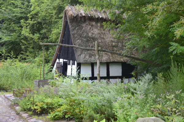 Older half-timbered house with thatched roof by older well in Den gamle by, The old village, open air museum in Odense, Fyn island, Fuen, Denmark, Scandinavia