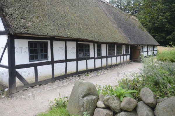 Older half-timbered house with thatched roof gamle by, The old village, open air museum in Odense, Fyn island, Fuen, Denmark, Scandinavia