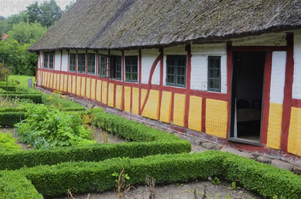 Half-timbered house with thatched roof by an older kitchen garden with boxwood hedges in Den gamle by, The old village, open air museum in Odense, Fyn island, Fuen, Denmark, Scandinavia