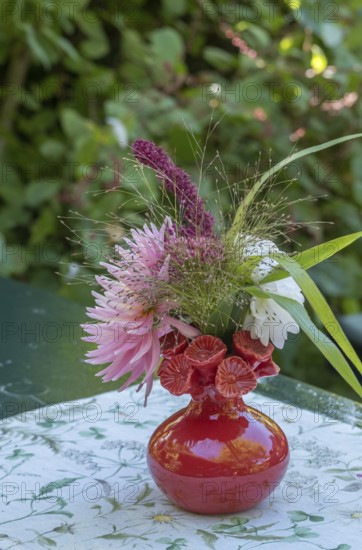 Small bouquet with dahlias and grasses, North Rhine-Westphalia, Germany