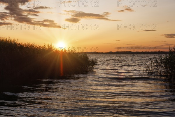Typical landscape in southern Sweden, Lake Ringsjön, picturesque sunset on the shore, sunbeams through reeds, Horby, Skane, Skåne, Sweden