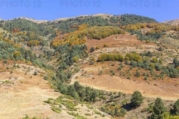 Mountain landscape Guarrinza - La Mina, Aragon Subordan river valley, Parque Natural Valles Occidentales, Hecho, Pyrenees Mountains, Aragon, Spain