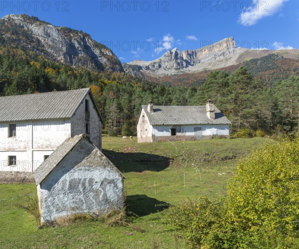 Farm buildings for livestock, Selva de Oza, Valle de Hecho, Pyrenees Mountains, Huesca province, Aragon, Spain
