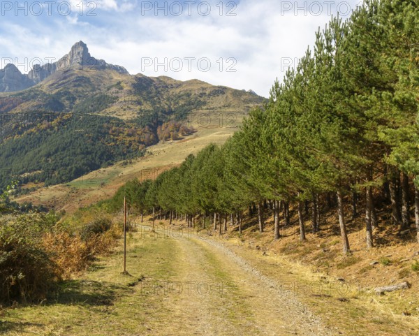 Mountain landscape Guarrinza - La Mina, Aragon Subordan river valley, Parque Natural Valles Occidentales, Hecho, Pyrenees Mountains, Aragon, Spain