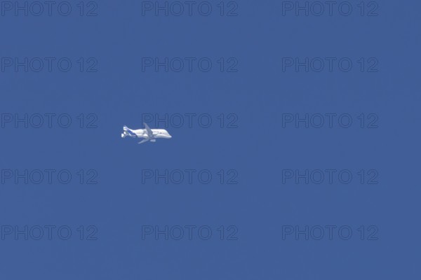 Airbus A330-743L Beluga XL cargo jet aircraft flying in a blue sky, England, United Kingdom