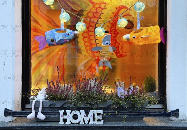 Decorated evening festival for Martin's procession, Old Town, Kempen, Lower Rhine, North Rhine-Westphalia, Germany