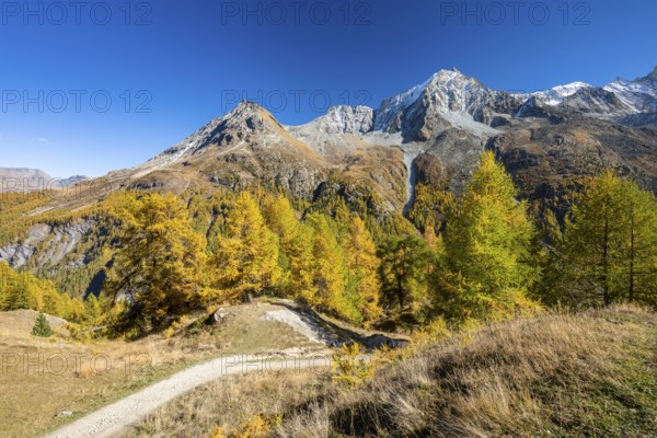 Autumn larches with mountain views, Evolene, Val d'Herens, Canton of Valais, Switzerland