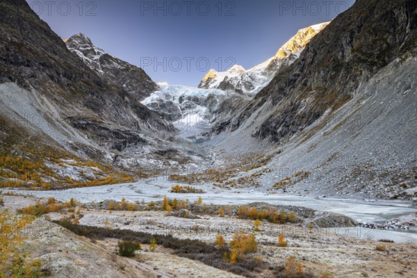 Glacier valley with autumnal larches, Ferpecle glacier, Val d'Herens, Canton of Valais, Switzerland