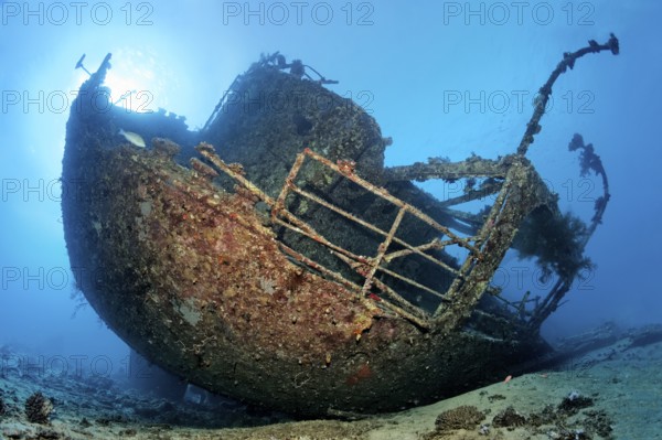 Wreck, shipwreck, Chrisoula K, also tile freighter, Greek, cargo ship, loaded with tiles, 101m length, 3807 GRT, stern, back light, sun, sunk 30.08.1981 on Sha'b reef, or Shaab Abu Nuhas, Red Sea, Egypt
