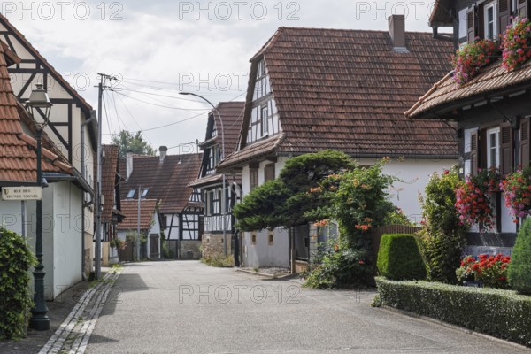 The street village of Hohwiller, in German Hohweiler, Alsace, France