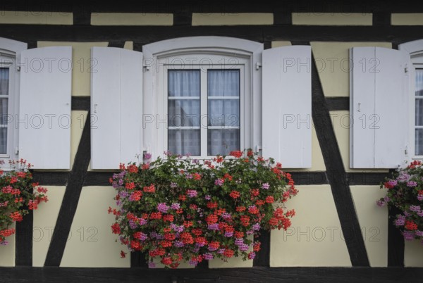 Window with floral decoration, half-timbered house, Alsace, France