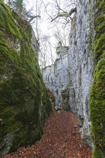 The climbing trail through the rocks and caves of hell holes in the autumnal landscape of Dettingen an der Erms Baden-Württemberg Germany