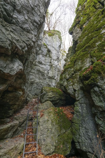 The ladder at the rocks and caves of hell holes in the autumnal landscape of Dettingen an der Erms Baden-Württemberg Germany