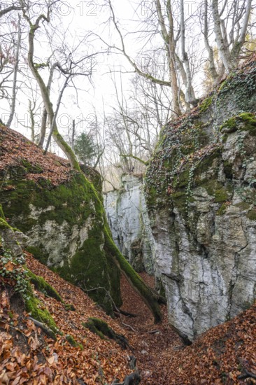 Rocks and caves of hell holes in autumn landscape Dettingen an der Erms Baden-Württemberg Germany