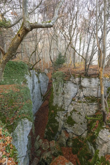 Low sun illuminates the rocks and caves of hell holes in the autumnal landscape of Dettingen an der Erms Baden-Württemberg Germany