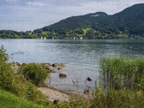 View from Bad Wiesee across Tegernsee to Sankt Quirin, shore of Tegernsee, Gmund am Tegernsee, Upper Bavaria, Bavaria, Germany