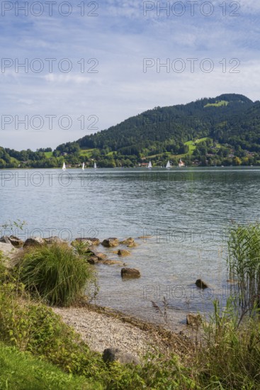 View from Bad Wiessee across Tegernsee to Sankt Quirin, shore of Tegernsee, Gmund am Tegernsee, Upper Bavaria, Bavaria, Germany
