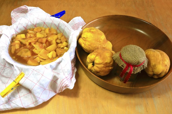 Make your own quince jelly, quinces in a bowl, Germany