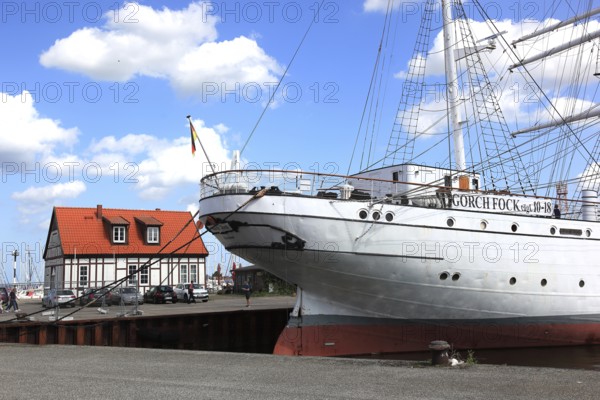 Gorch Fock, a sailing school ship rigged as a bark in the harbor, Stralsund, Vorpommern-Rügen district, Mecklenburg-Western Pomerania, Germany