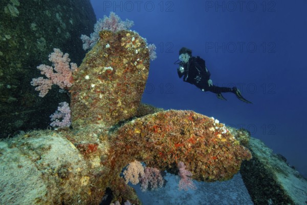 Diver intentionally regards large propeller from 2018 as an artificial reef attraction for scuba divers sunk shipwreck KT Mawar, Indian Ocean, Trou aux Biches, Mauritius