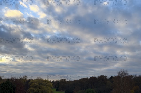 Stratocumulus clouds at nightfall, international