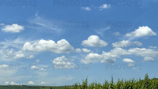 Cumulus clouds cluster clouds in front under blue sky, international