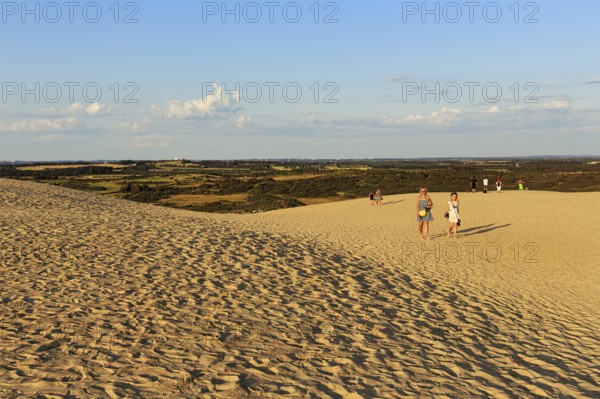 Rubjerg Knude, walker on the horizon, hiking dune in summer, Løkken, Lokken, Nordjylland, North Jutland, Denmark