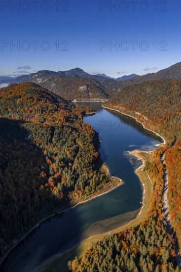Mountain lake, mountains, sunny, morning light, autumn, autumn color, forest, aerial view, Sylvensteinsee, Upper Bavaria, Bavaria, Germany