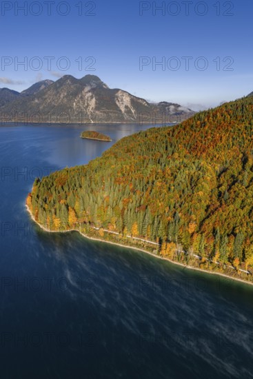Mountain lake, mountains, sunny, morning light, autumn, autumn color, forest, aerial view, Walchensee, Upper Bavaria, Bavaria, Germany