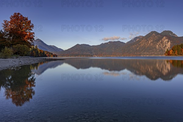 Mountain lake, mountains, morning light, reflection, autumn, autumn color, forest, shore, Walchensee, Upper Bavaria, Bavaria, Germany