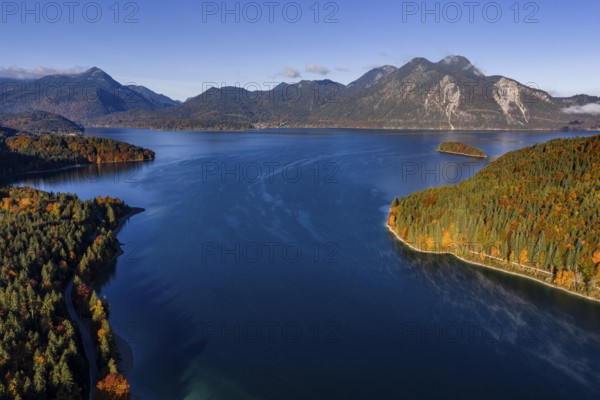 Mountain lake, mountains, sunny, morning light, autumn, autumn color, forest, aerial view, Walchensee, Upper Bavaria, Bavaria, Germany