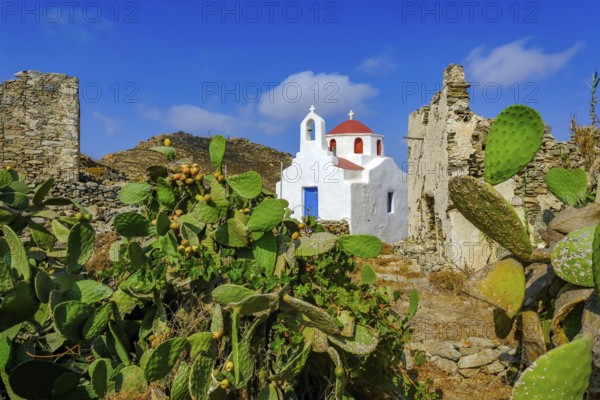 Ano Mera, Mykonos, Cyclades, Greece - Small church from the 18th century on the site of the Gyzi ruins, 13th century castle ruins by the Venetian Gyzi family, right next to the Paleokastro monastery in the interior of the island just outside Ano Mera, is now a tourist attraction much visited by tourists. Typical fig cacti in front