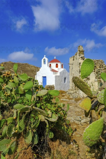 Ano Mera, Mykonos, Cyclades, Greece - Small church from the 18th century on the site of the Gyzi ruins, 13th century castle ruins by the Venetian Gyzi family, right next to the Paleokastro monastery in the interior of the island just outside Ano Mera, is now a tourist attraction much visited by tourists. Typical fig cacti in front