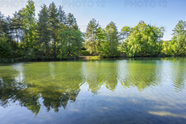 Landscape of a little lake on a sunny day in spring, Upper Palatinate, Bavaria, Germany