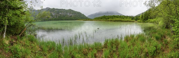 Landscape of Lake Offensee on a rainy day in spring, Salzkammergut, Austria