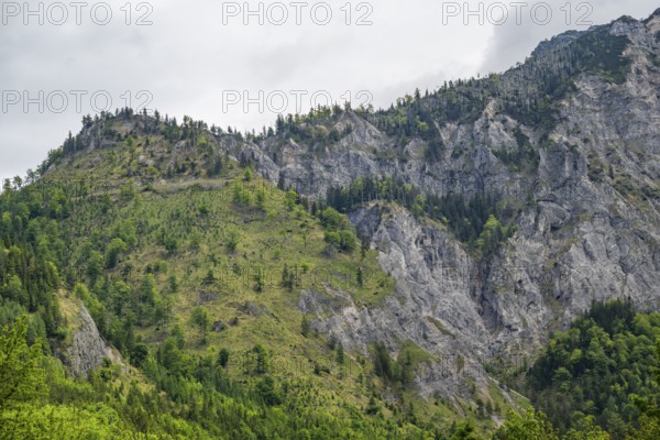 View into the mountains next to Lake Offensee on a rainy day in spring, Salzkammergut, Austria, Europe, Salzkammergut, Austria, Europe