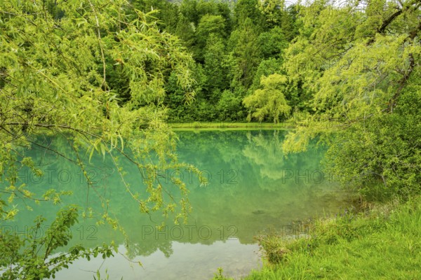 Landscape of Lake Elisabethsee on a rainy day in spring, Austria