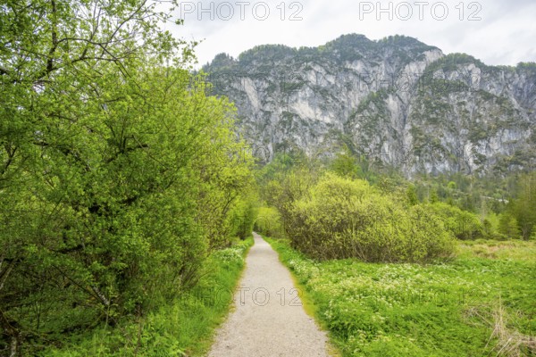 Walking trail going through the forest in spring on a cloudy day, Bavaria, Germany