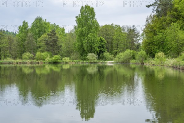Landscape of a little lake on a cloudy day in spring, Upper Palatinate, Bavaria, Germany