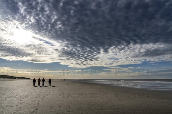 Walkers on the Wadden Sea near the East Frisian island of Spiekeroog, west of the North Sea island, at low tide, wind farm on the coast in the background, Lower Saxony, Germany