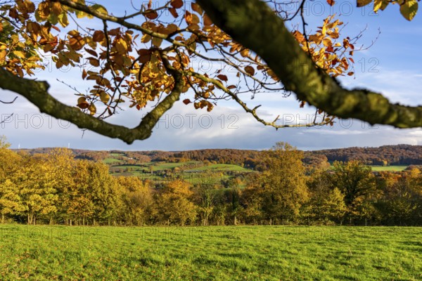 Autumn landscape in Elfringhauser Switzerland, south of Velbert-Langenberg, Germany