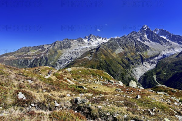 From left front Glacier du Tour back Aiguilles du Tour, right Aiguille du Chardonnet, in front foothills of the Argentière Glacier, Chamonix-Mont-Blanc, Haute-Savoie, France