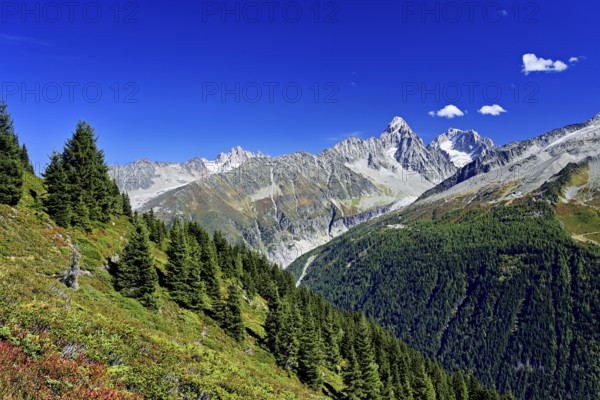 From left front Glacier du Tour back Aiguilles du Tour, right Aiguille du Chardonnet, in front foothills of the Argentière Glacier, Chamonix-Mont-Blanc, Haute-Savoie, France
